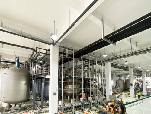 國產NMN“不老藥”概念再掀熱潮 寧波百噸工廠試產成功，惠及80萬人，或成網絡游戲開發新藍海